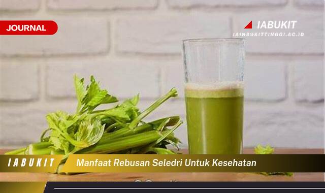 Inilah 9 Manfaat Rebusan Seledri untuk Kesehatan, Menurunkan Tekanan Darah dan Meningkatkan Pencernaan