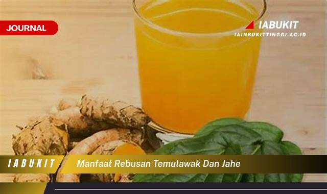 Inilah 10 Manfaat Rebusan Temulawak dan Jahe untuk Kesehatan Pencernaan dan Daya Tahan Tubuh