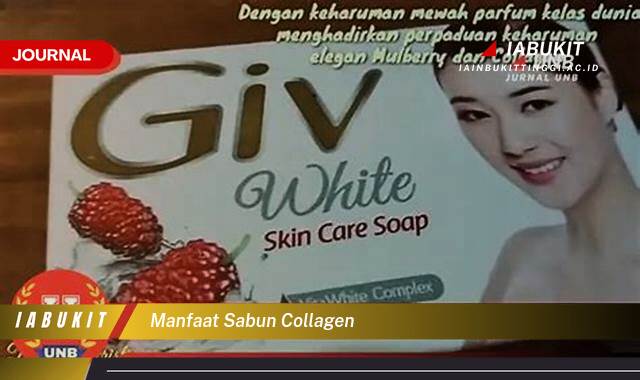 Inilah 10 Manfaat Sabun Collagen untuk Kulit Wajah dan Tubuh Anda