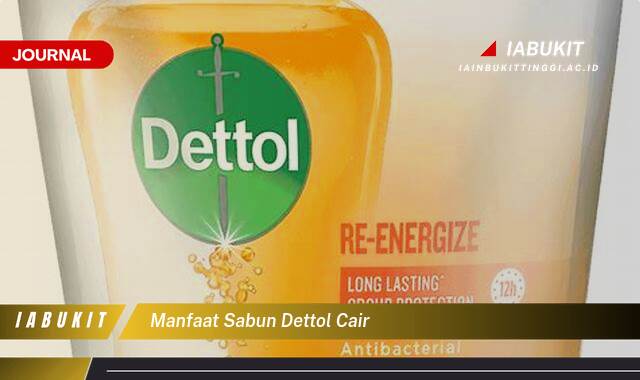 Inilah 8 Manfaat Sabun Dettol Cair, Lindungi Keluarga dari Kuman dan Penyakit
