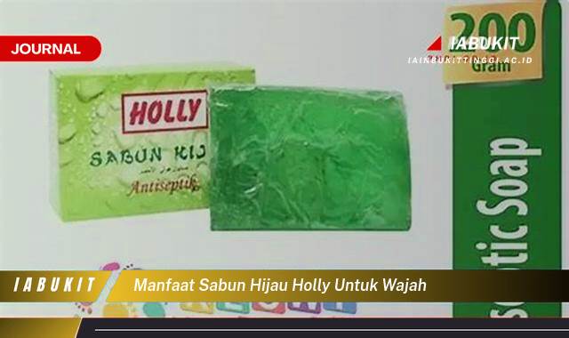 Inilah 10 Manfaat Sabun Hijau Holly untuk Wajah, Kulit Cerah, Bebas Jerawat, dan Sehat Alami