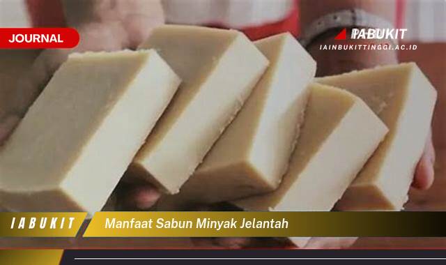 Inilah 9 Manfaat Sabun Minyak Jelantah, Solusi Hemat dan Ramah Lingkungan untuk Kebersihan Anda