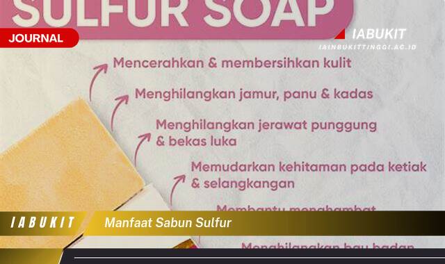 Inilah 10 Manfaat Sabun Sulfur untuk Mengatasi Jerawat, Eksim, dan Masalah Kulit Lainnya