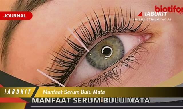 Inilah 10 Manfaat Serum Bulu Mata untuk Bulu Mata Lebih Panjang dan Tebal