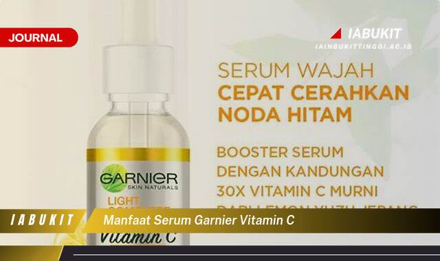 Inilah 10 Manfaat Serum Garnier Vitamin C untuk Kulit Cerah Berseri dan Bebas Noda Hitam