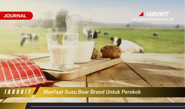 Inilah 10 Manfaat Susu Bear Brand untuk Perokok,  Benarkah Bisa Membersihkan Paru,Paru?