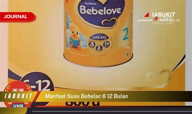 Inilah 9 Manfaat Susu Bebelac 6,12 Bulan untuk Tumbuh Kembang Optimal Si Kecil