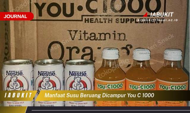 Ketahui 9 Manfaat Susu Beruang Dicampur You C 1000, Benarkah Ampuh Tingkatkan Imunitas Tubuh?
