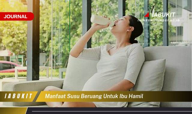 Inilah 10 Manfaat Susu Beruang untuk Ibu Hamil,  Meningkatkan Kesehatan Bumil dan Janin