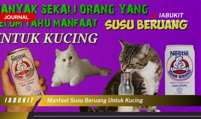 Inilah 8 Manfaat Susu Beruang untuk Kucing, Benarkah Baik dan Aman?