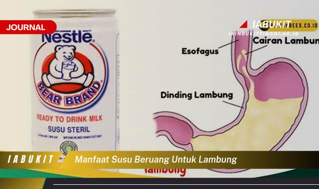 Inilah 10 Manfaat Susu Beruang untuk Lambung, Mengatasi Maag, Asam Lambung, dan Masalah Pencernaan Lainnya Inilah 10 Manfaat Susu Beruang untuk Lambung, Mengatasi Maag, Asam Lambung, dan Masalah Pencernaan Lainnya