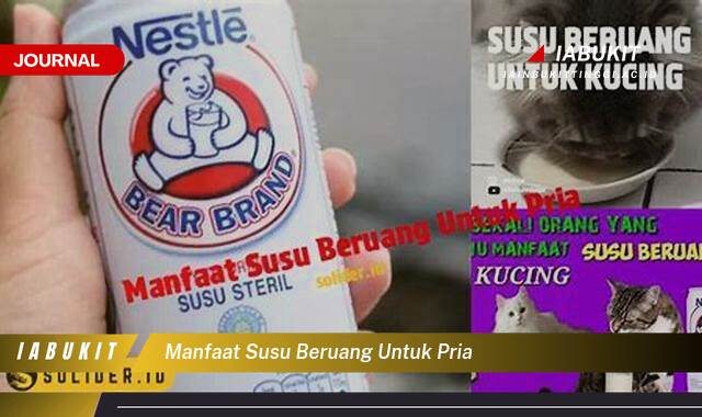 Inilah 9 Manfaat Susu Beruang untuk Pria Dewasa, Kesehatan, Vitalitas, dan Stamina