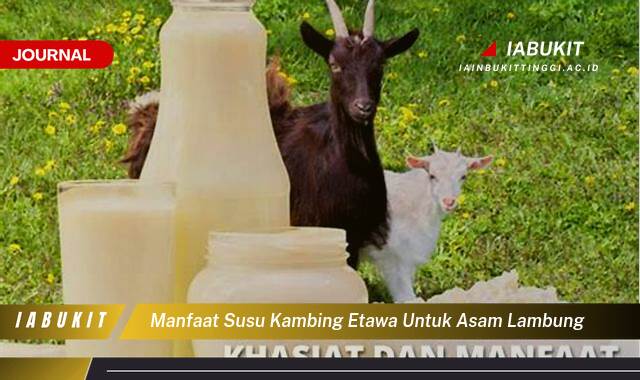 Inilah 8 Manfaat Susu Kambing Etawa untuk Asam Lambung, Meredakan Nyeri dan Mencegah Kambuh