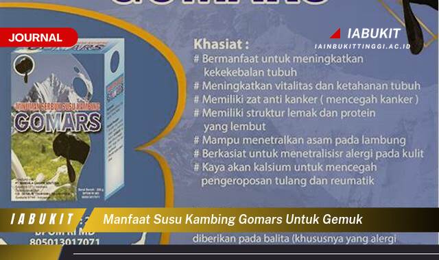 Inilah 10 Manfaat Susu Kambing Gomars untuk Gemuk, Cara Efektif Menambah Berat Badan Secara Alami