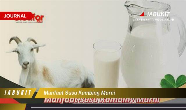 Inilah 10 Manfaat Susu Kambing Murni untuk Kesehatan dan Kecantikan Anda