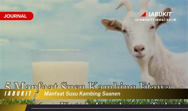 Inilah 9 Manfaat Susu Kambing Saanen untuk Kesehatan Anda dan Keluarga