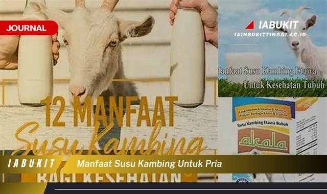 Ketahui 9 Manfaat Susu Kambing untuk Pria, Meningkatkan Kesehatan dan Vitalitas