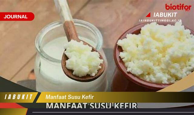 Inilah 8 Manfaat Susu Kefir untuk Kesehatan Tubuh Anda secara Menyeluruh