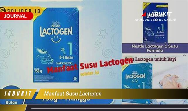 Inilah 9 Manfaat Susu Lactogen untuk Mendukung Tumbuh Kembang Bayi Sehat