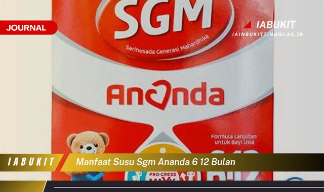 Inilah 8 Manfaat Susu SGM Ananda 6,12 Bulan untuk Tumbuh Kembang Optimal Bayi Anda