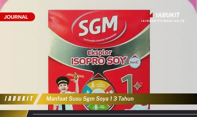 Inilah 9 Manfaat Susu SGM Soya 1,3 Tahun untuk Tumbuh Kembang Optimal Si Kecil