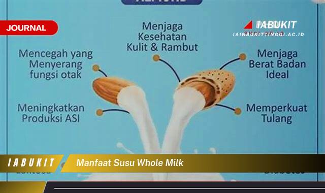 Inilah 10 Manfaat Susu Whole Milk Bagi Kesehatan Tubuh Anda