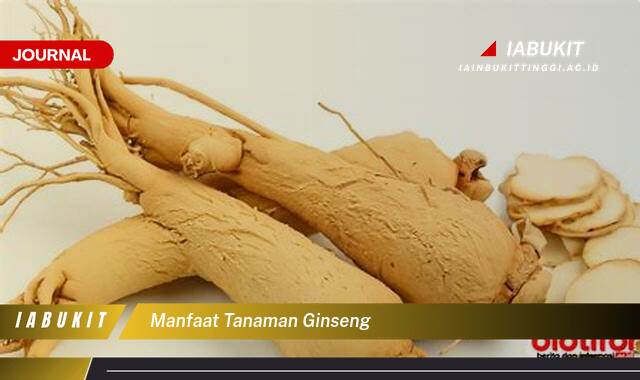 Inilah 10 Manfaat Tanaman Ginseng untuk Kesehatan Tubuh Anda