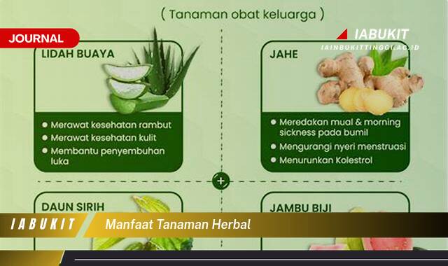 Inilah 10 Manfaat Tanaman Herbal untuk Kesehatan Tubuh Anda