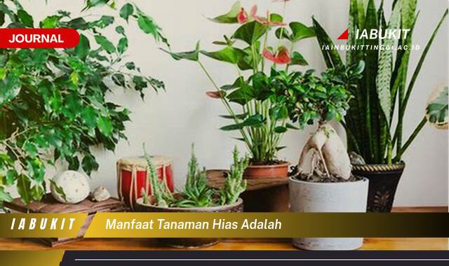 Inilah 9 Manfaat Tanaman Hias untuk Mempercantik dan Menyegarkan Rumah Anda