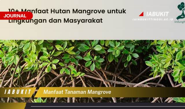 Inilah 9 Manfaat Tanaman Mangrove, Perlindungan Pesisir dan Kekayaan Ekosistem