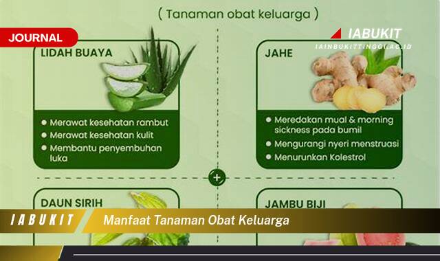 Inilah 8 Manfaat Tanaman Obat Keluarga untuk Kesehatan Anda Sehari,hari