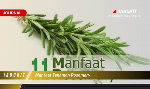 Inilah 9 Manfaat Tanaman Rosemary Untuk Kesehatan Kulit dan Rambut Anda