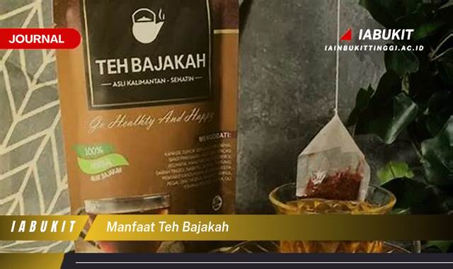 Inilah 10 Manfaat Teh Bajakah untuk Kesehatan Tubuh Anda Inilah 10 Manfaat Teh Bajakah untuk Kesehatan Tubuh Anda