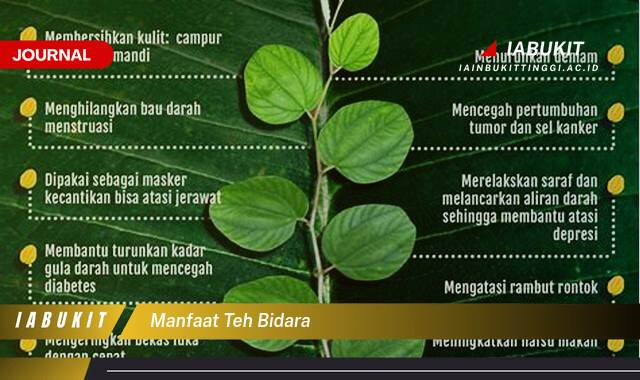 Inilah 8 Manfaat Teh Bidara untuk Kesehatan Tubuh Anda