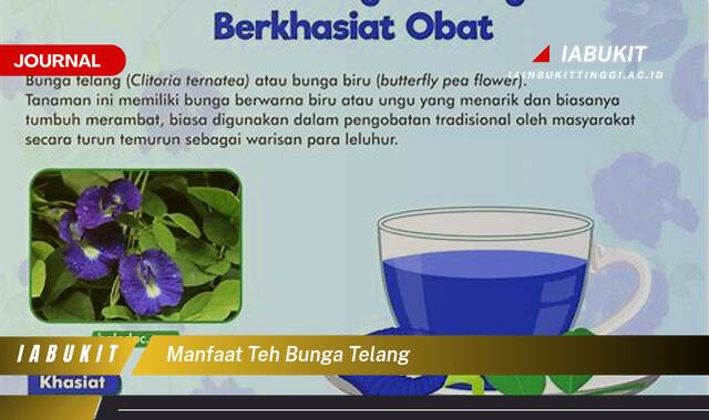 Inilah 8 Manfaat Teh Bunga Telang untuk Kesehatan Anda yang Menakjubkan Inilah 8 Manfaat Teh Bunga Telang untuk Kesehatan Anda yang Menakjubkan