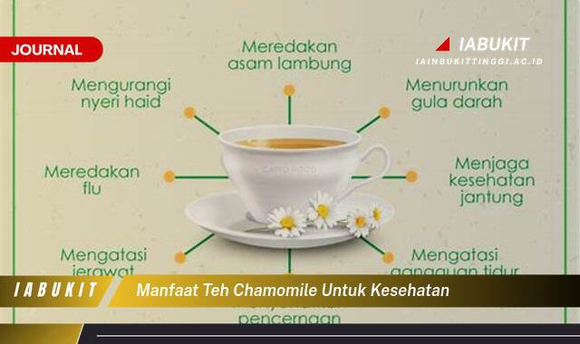 Inilah 9 Manfaat Teh Chamomile untuk Kesehatan, Tidur Nyenyak, Redakan Stres, dan Lainnya