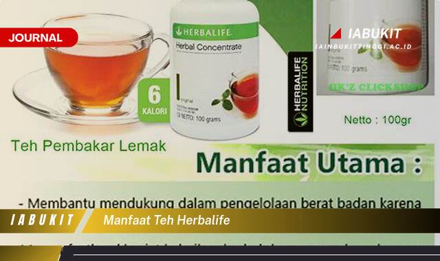 Inilah 8 Manfaat Teh Herbalife untuk Menurunkan Berat Badan dan Meningkatkan Energi