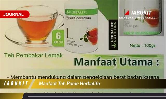 Inilah 10 Manfaat Teh Pome Herbalife Untuk Energi, Pencernaan, dan Berat Badan Ideal