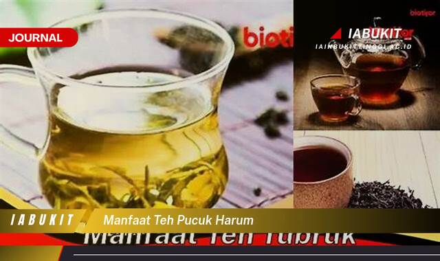 Inilah 9 Manfaat Teh Pucuk Harum untuk Kesehatan dan Kesegaran Tubuh Anda