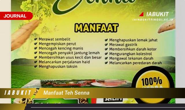 Inilah 9 Manfaat Teh Senna, Efektifkah untuk Menurunkan Berat Badan dan Mengatasi Sembelit?