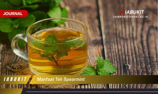 Inilah 8 Manfaat Teh Spearmint untuk Kesehatan Tubuh dan Pikiran Anda