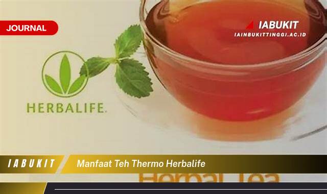 Inilah 9 Manfaat Teh Thermo Herbalife untuk Menurunkan Berat Badan dan Meningkatkan Energi