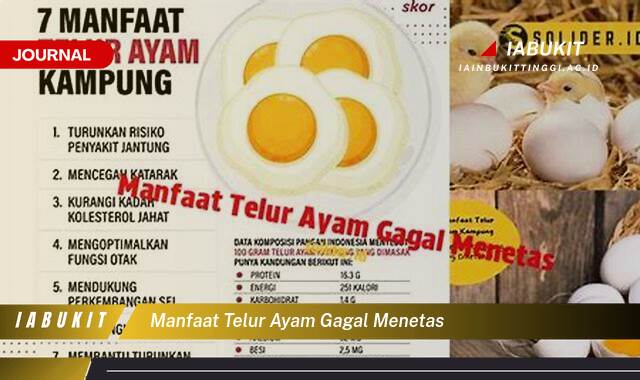Inilah 8 Manfaat Telur Ayam Gagal Menetas yang Jarang Diketahui dan Cara Memanfaatkannya