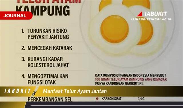 Inilah 8 Manfaat Telur Ayam Jantan, Fakta Menarik dan Khasiatnya untuk Kesehatan