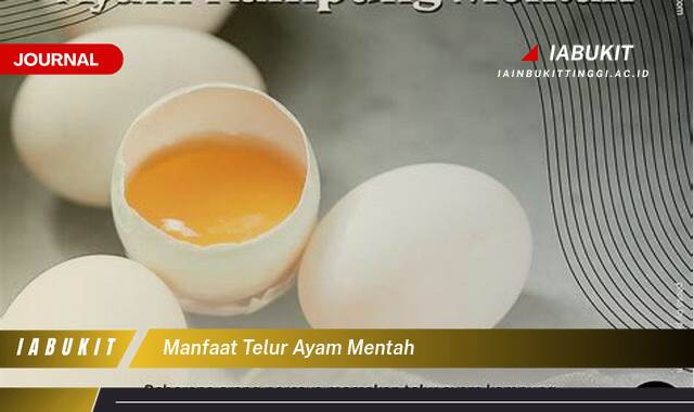 Inilah 10 Manfaat Telur Ayam Mentah untuk Kesehatan Tubuh Anda