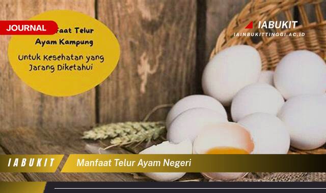 Inilah 9 Manfaat Telur Ayam Negeri untuk Kesehatan Tubuh dan Nutrisi Harian Anda