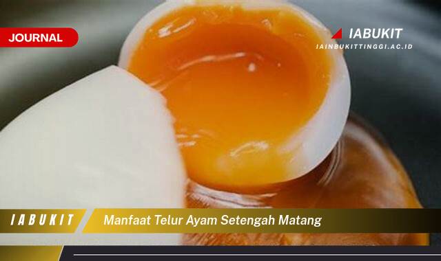 Inilah 8 Manfaat Telur Ayam Setengah Matang untuk Kesehatan Tubuh Anda