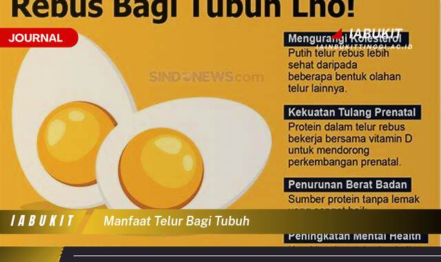 Inilah 8 Manfaat Telur Bagi Tubuh, Panduan Lengkap dari Nutrisi hingga Tips Konsumsi