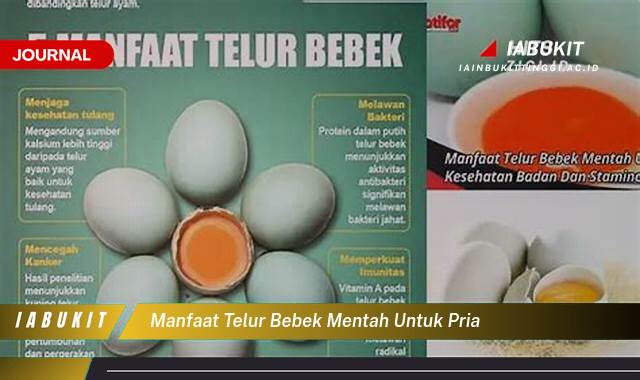 Inilah 9 Manfaat Telur Bebek Mentah untuk Pria, Tingkatkan Testosteron, Stamina, dan Kesuburan Alami