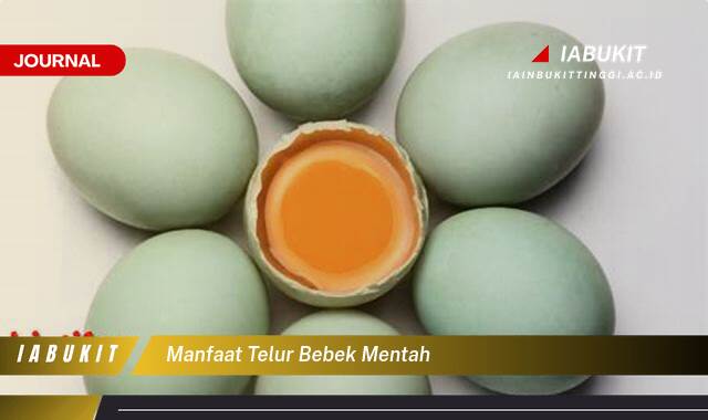 Inilah 8 Manfaat Telur Bebek Mentah untuk Kesehatan, Kecantikan, dan Risiko Konsumsinya Inilah 8 Manfaat Telur Bebek Mentah untuk Kesehatan, Kecantikan, dan Risiko Konsumsinya